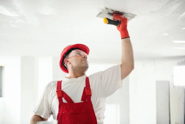 Best Drywall Finishing  in Eastlake, OH